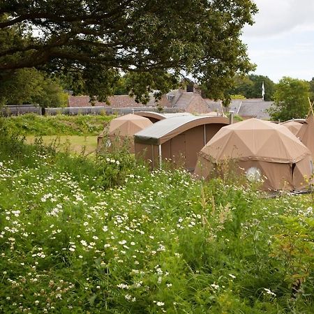 Durrell Wildlife Camp Hotel Trinity Quarto foto