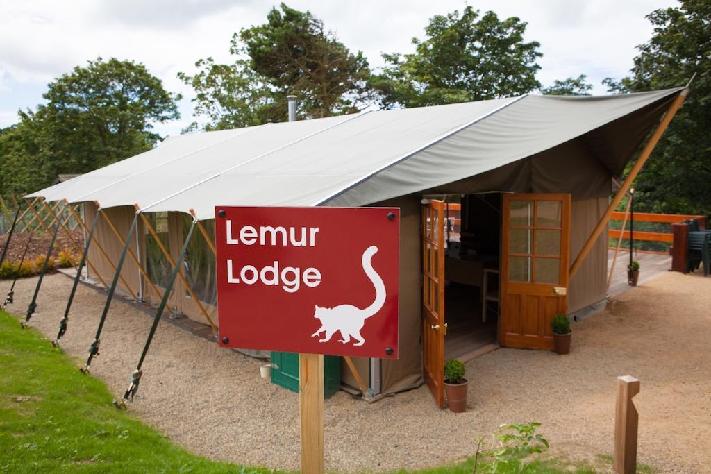 Durrell Wildlife Camp Hotel Trinity Exterior foto