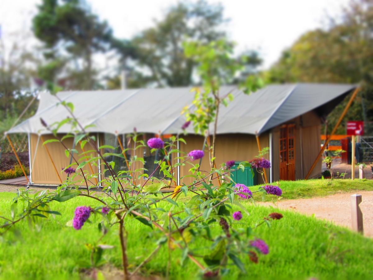 Durrell Wildlife Camp Hotel Trinity Exterior foto